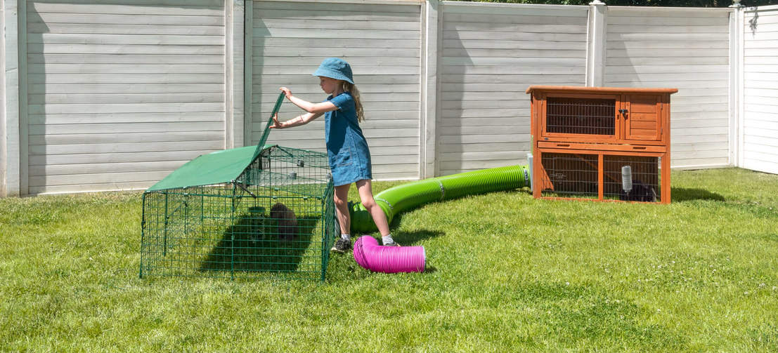 You can play with your rabbit really easier with the Zippi rabbit run.