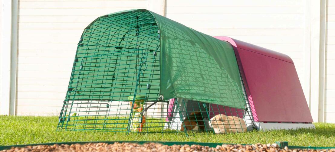 Eglu Go Guinea Pig Hutch Plastic House for Guinea Pigs Omlet