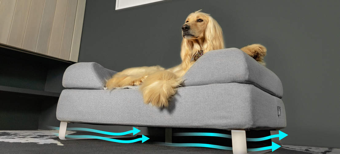 omlet dog sofa