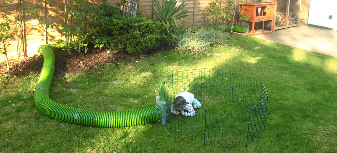 Waiting for your rabbit to appear from out the rabbit tunnel.