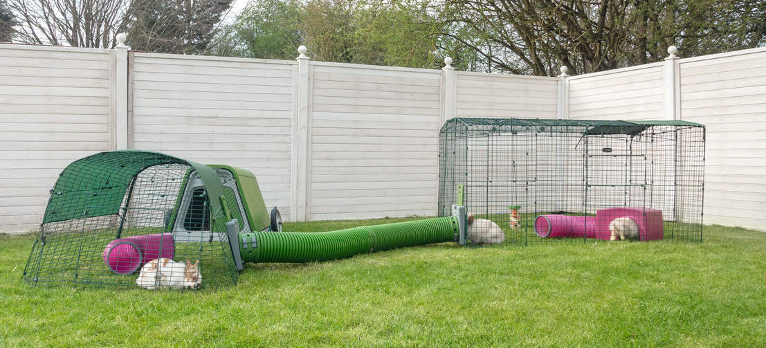 Omlet Eglu Rabbit Hutch and Run connected to Omlet Zippi Rabbit Playpen with Omlet Zippi Tunnel