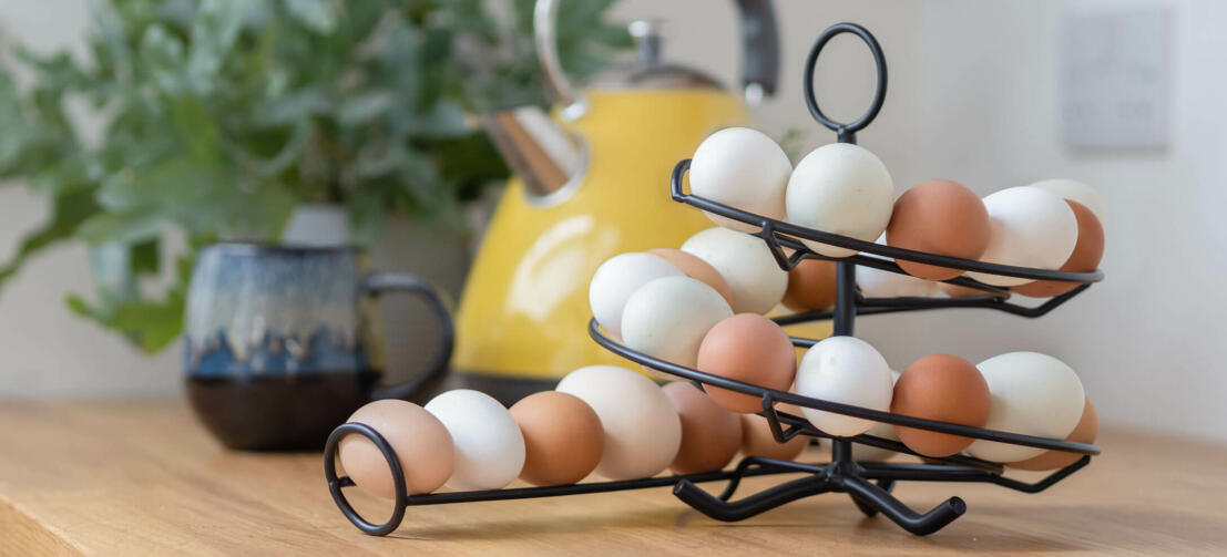 Counter Egg Holder 