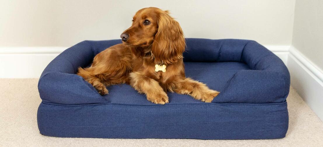 Memory Foam Bolster Dog Beds Omlet
