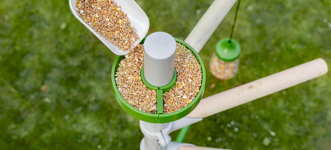 Filling corn to the chicken treat dish accessory for the freestanding chicken perch tree