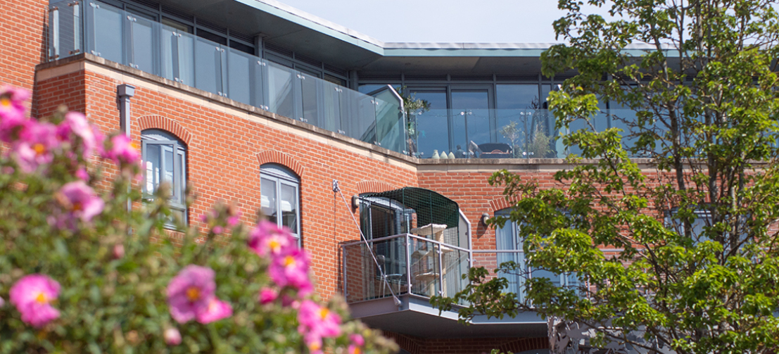 Cat Balcony Enclosure The Ultimate Urban Cat Run Omlet