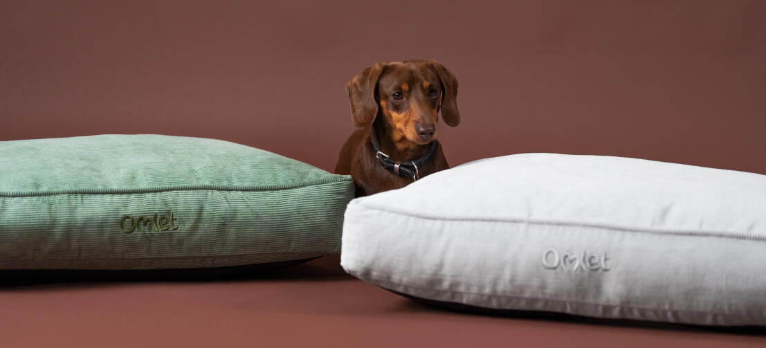 Cushion Dog Bed Omlet