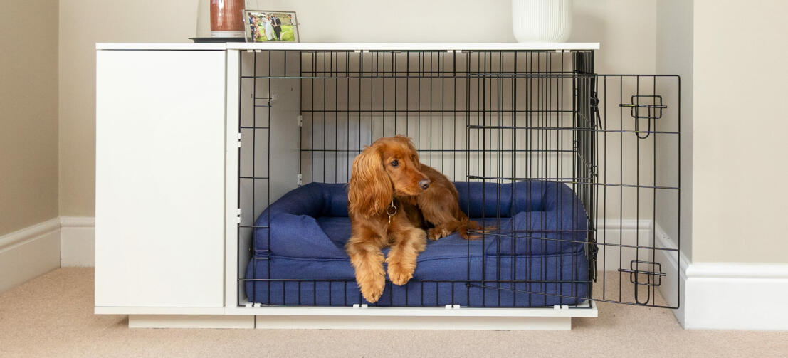 what is the best bedding for a dog kennel