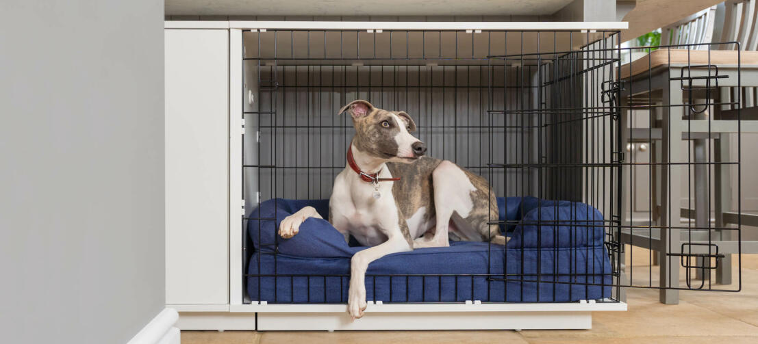 Fido Studio Dog Crate