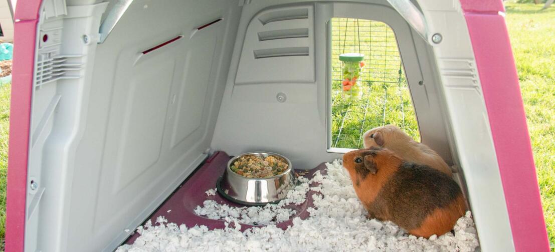 Eglu Go Guinea Pig Hutch Plastic House for Guinea Pigs Omlet