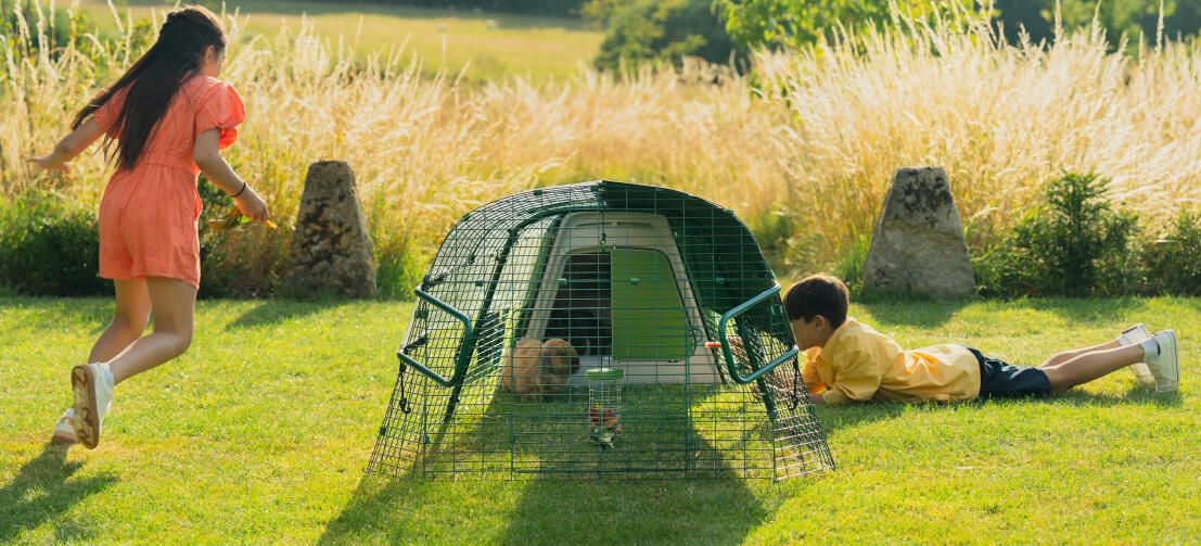 Children playing in garden and interacting with their rabbit through mesh of the run.