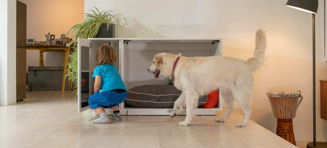 Fido Nook luxury dog crate wardrobe keeps dog food leads and clothes tidy