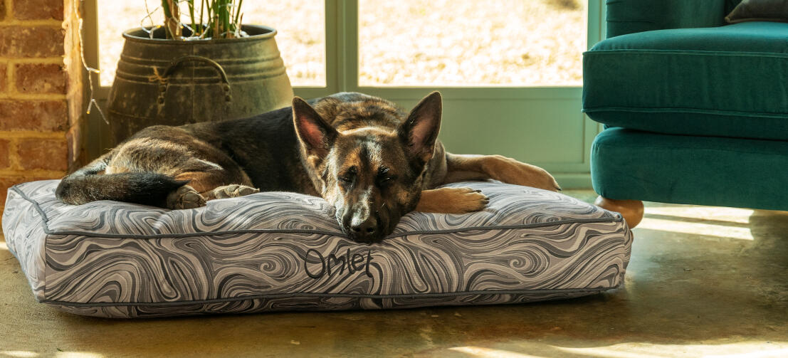 Cushion Dog Bed Omlet