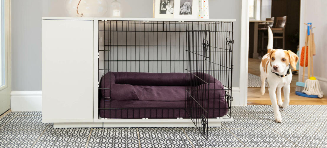 can i move puppy crate from room to room