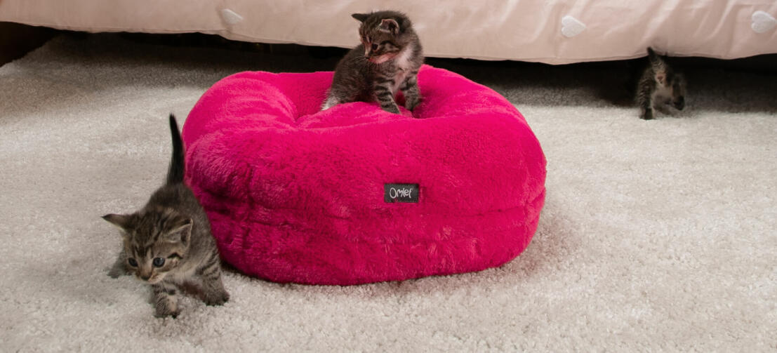 Maya® Donut Cat Beds Luxurious Cat Bed With Customisable Feet Omlet