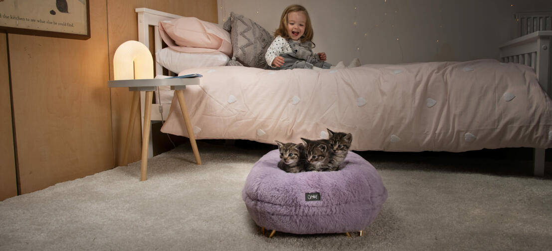 toddler looking at her kittens sleeping in their soft donut cat bed