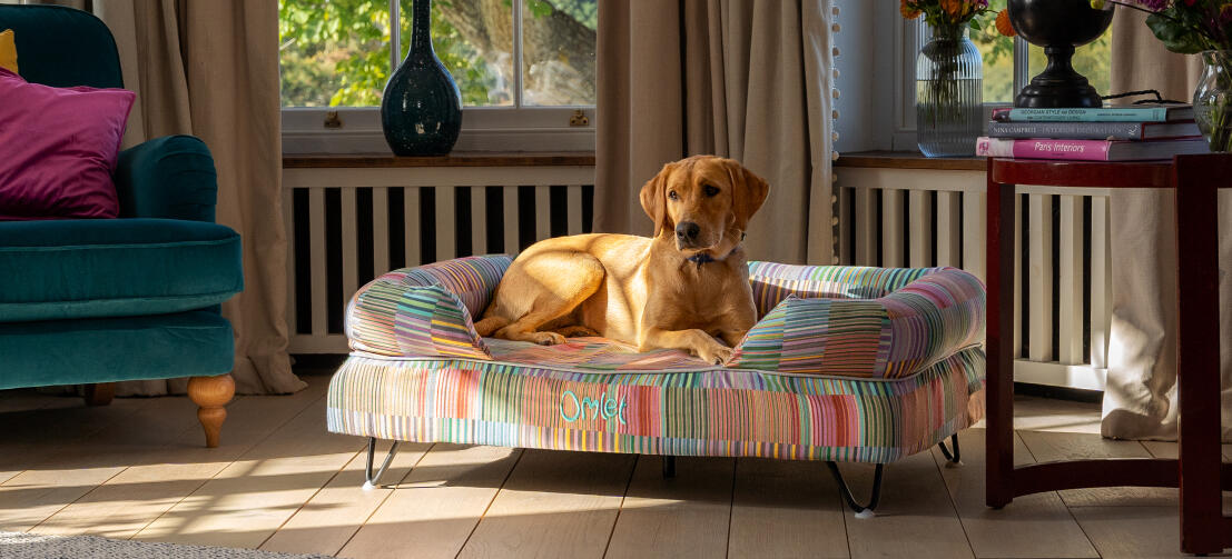 Memory Foam Bolster Dog Beds Find Your Match From 15 Amazing Colours