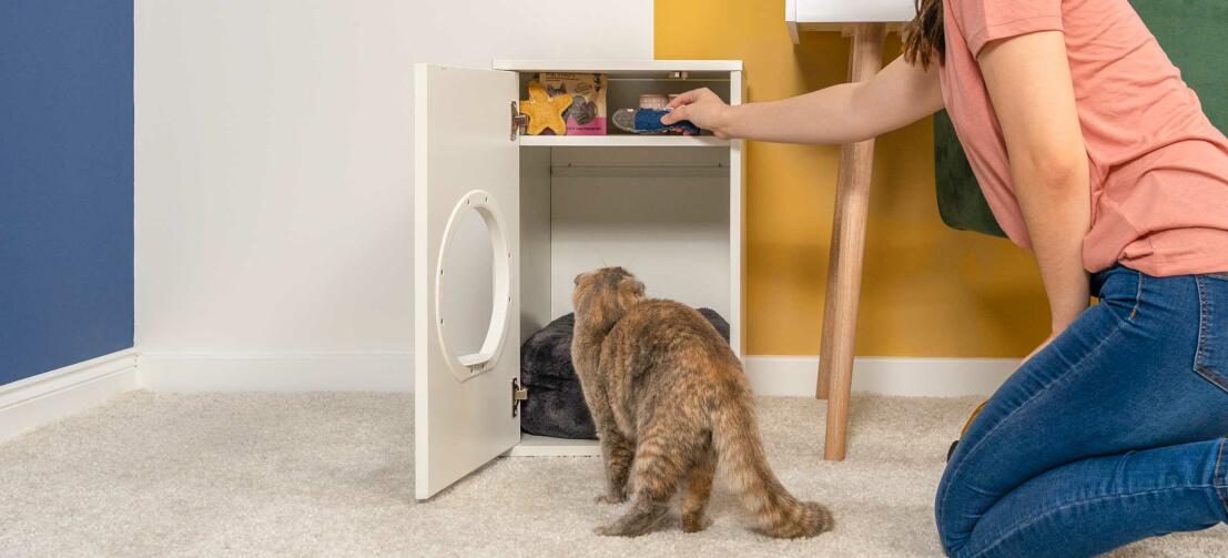 Lady checking the storage of the Maya Indoor Cat House whilst the Cat investigates