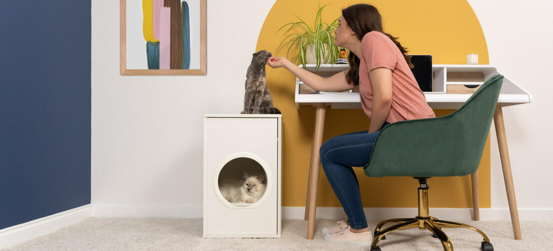 Maya Indoor Cat House with Donut Bed Omlet