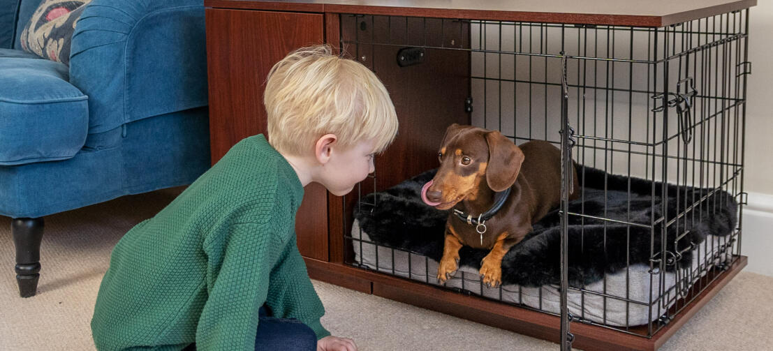 Kid looking at his dog