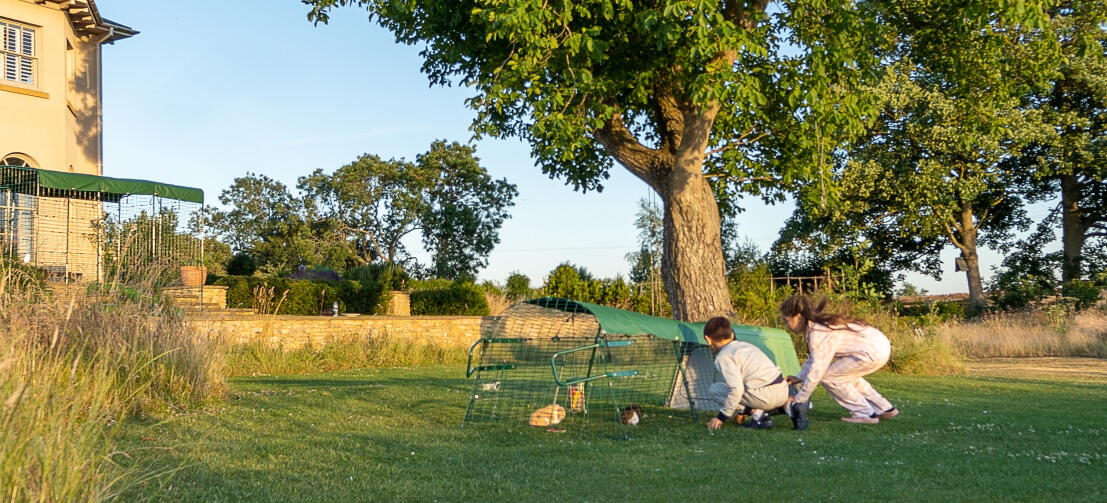 Two children interacting with their pet guinea pigs in Eglu Go Hutch with run, in large garden next to a house.