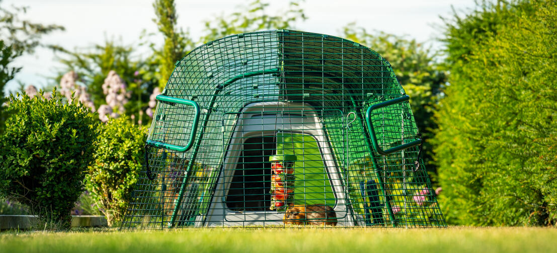 Front view of Eglu Go Hutch in garden, with a guinea pig and Caddi Treat Holder inside run.