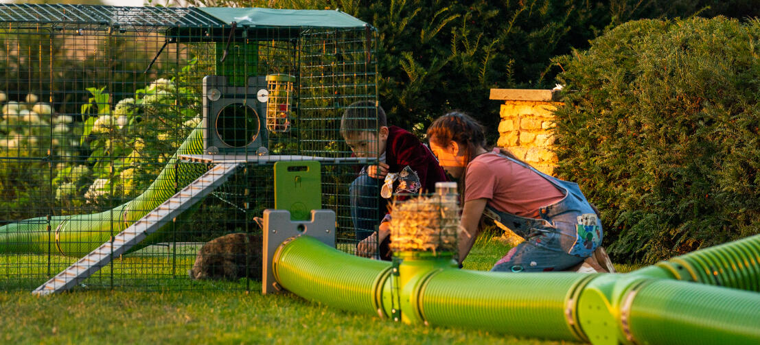 Children interacting with their pet rabbit through the Zippi run mesh.