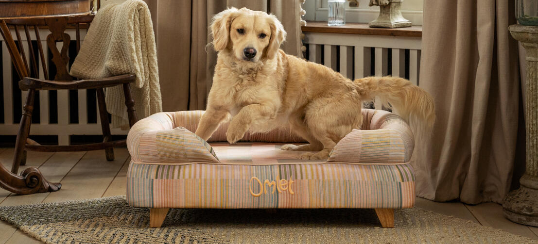 Memory Foam Bolster Dog Beds Omlet