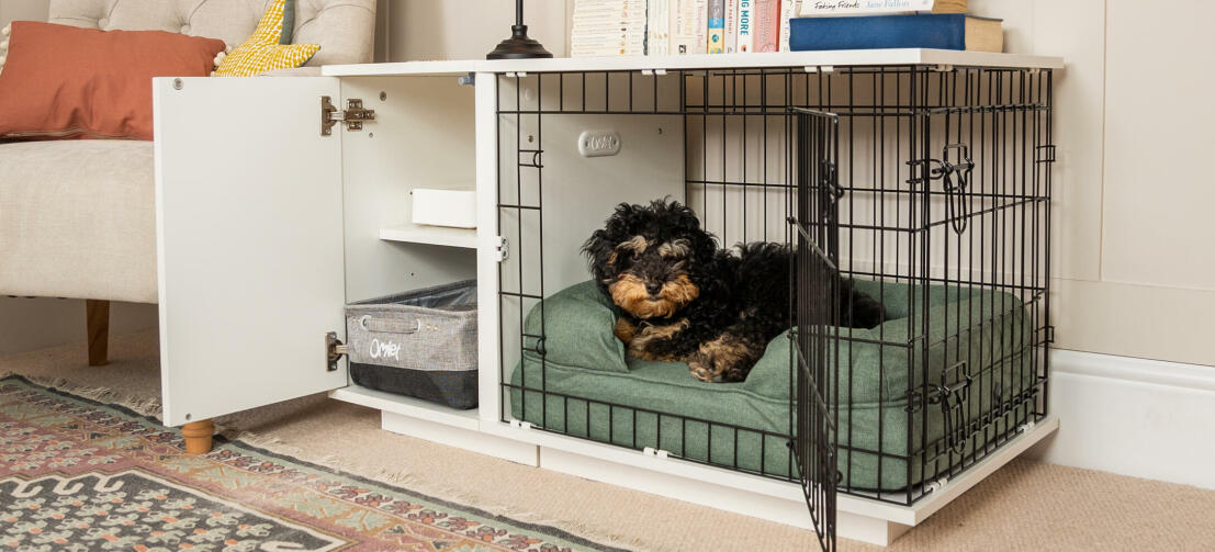 Dog inside his dog crate