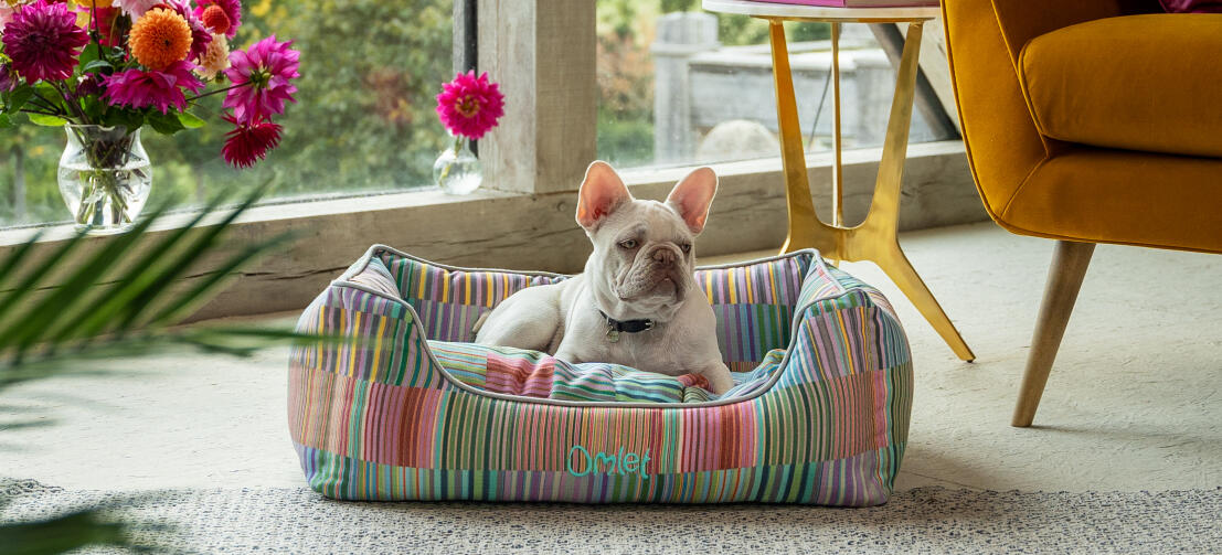 Nest Dog Bed Omlet