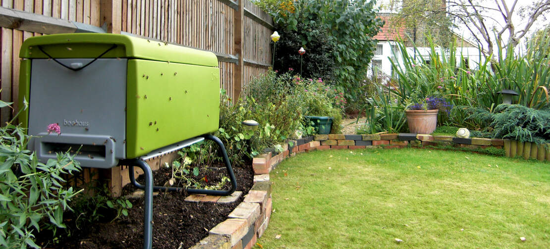 A green beehaus in the garden.