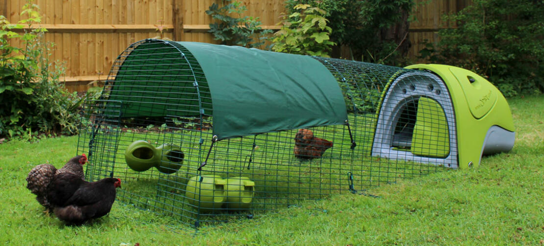 The Eglu Classic can optionally be equipped with a 2m long fox-proof outlet.