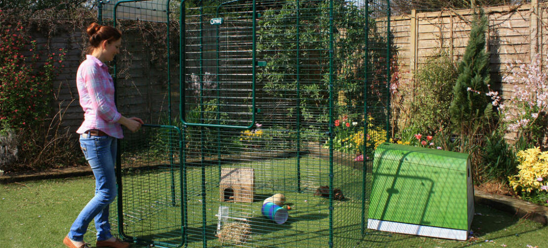 a woman with a walk in run set up for guinea pigs with a green go hutch