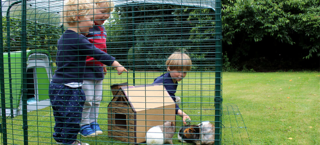 The low enclosure is high enough for small children to stand upright in.