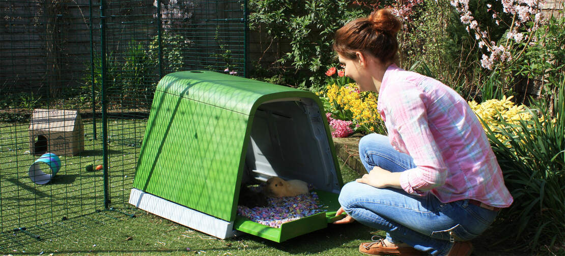 Eglu Go Guinea Pig Hutch Plastic House for Guinea Pigs Omlet