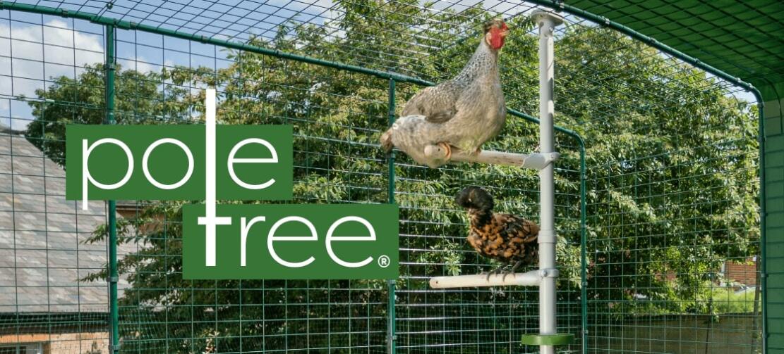 PoleTree customisable chicken perch system by Omlet