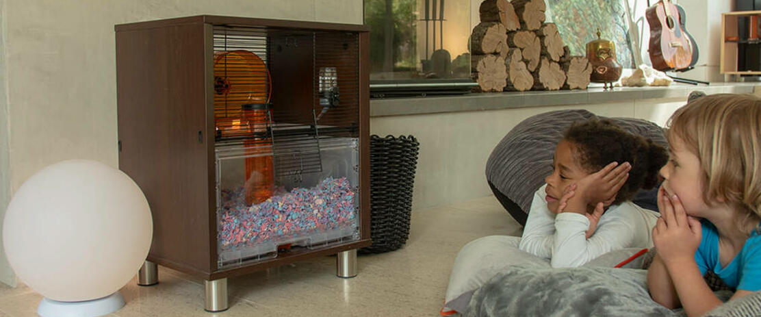 Eglu hamster hot sale cage