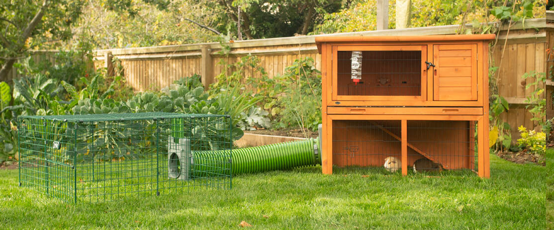 Zippi Guinea Pig Tunnel System | Omlet