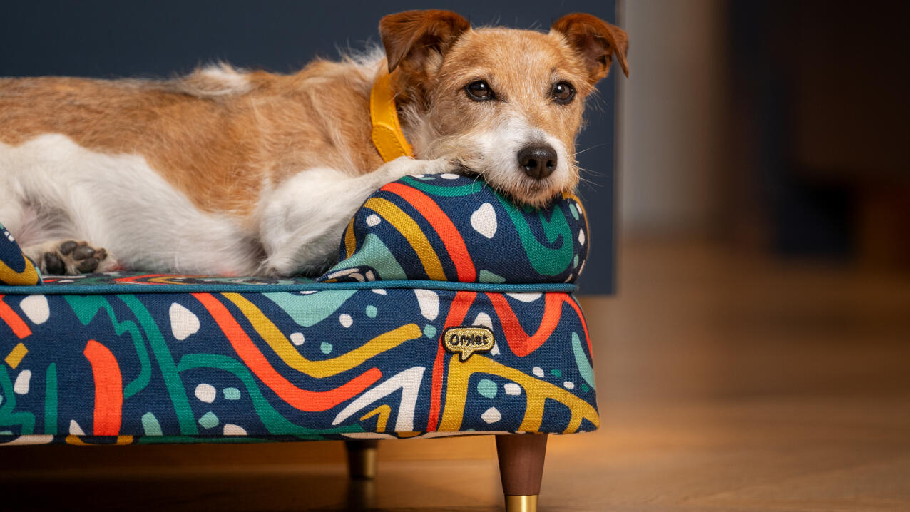 Traversin de voyage pour chien de taille moyenne et grande taille