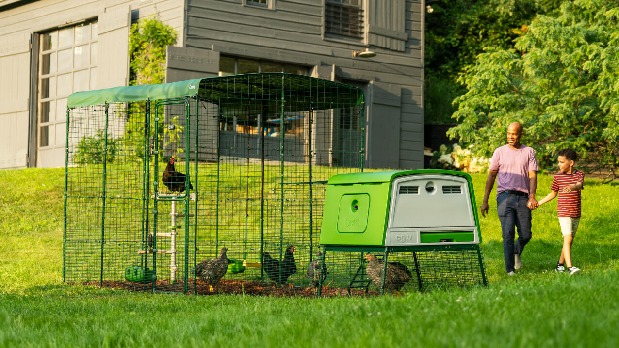 Large lawn with an Eglu Cube chicken coop and Walk In Run set up on a sunny day with father and son walking by.