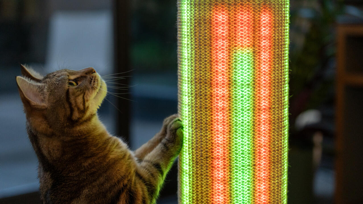 cat engaging with the light mode on a Switch cat scratcher