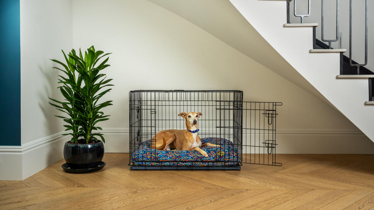 A dog sitting on the cushion dog bed in a crate.