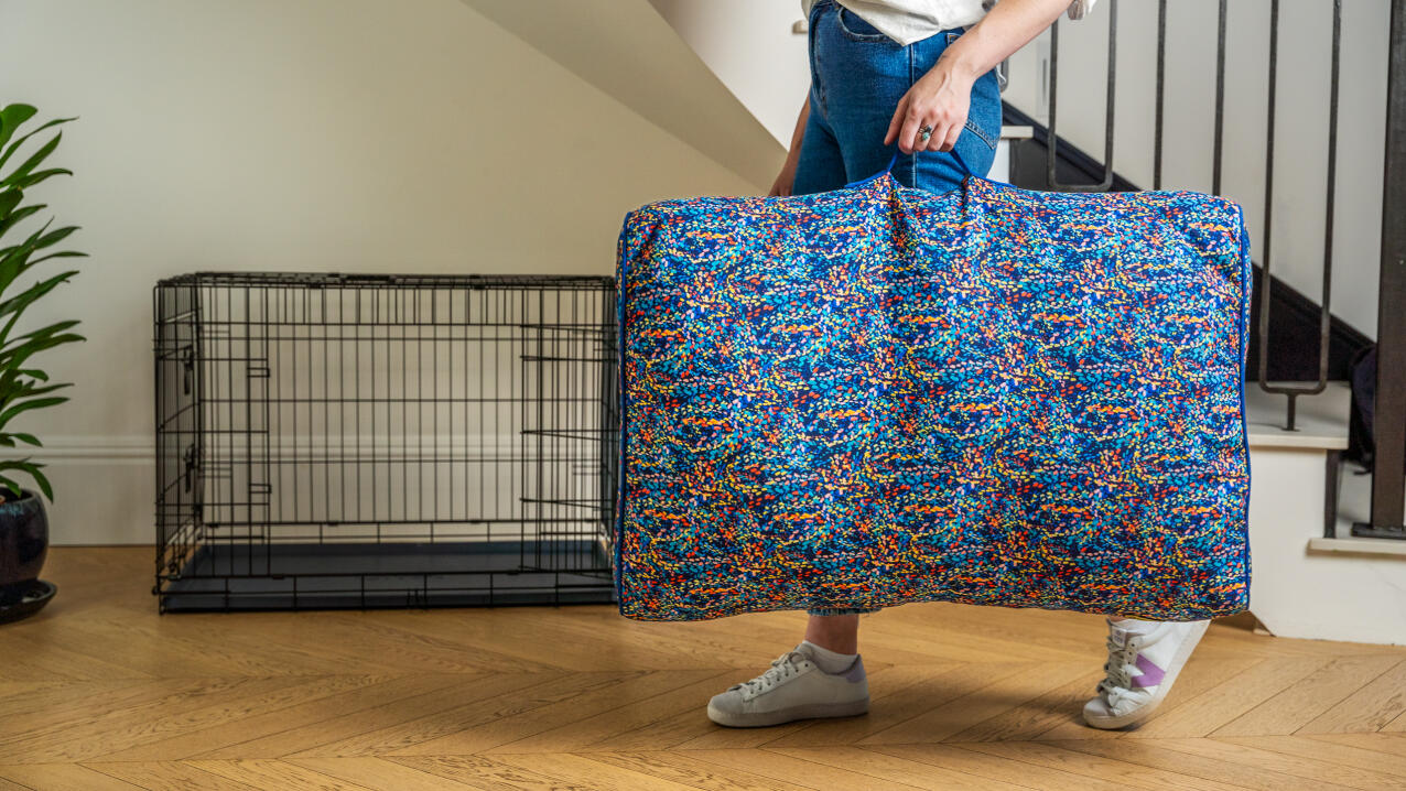 A woman carrying the cushion dog bed.