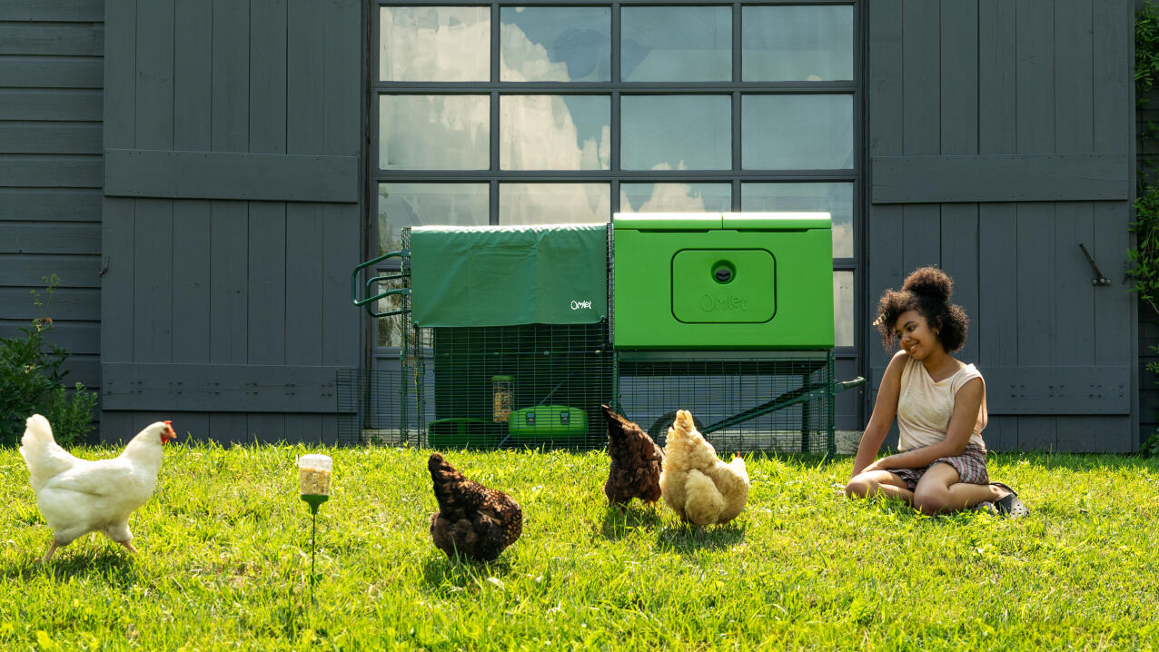 Tunnel de protection en grillage à poule, vente au meilleur prix