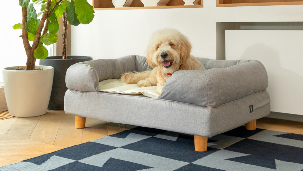 fluffy white dog on a grey bolster bed with wooden legs