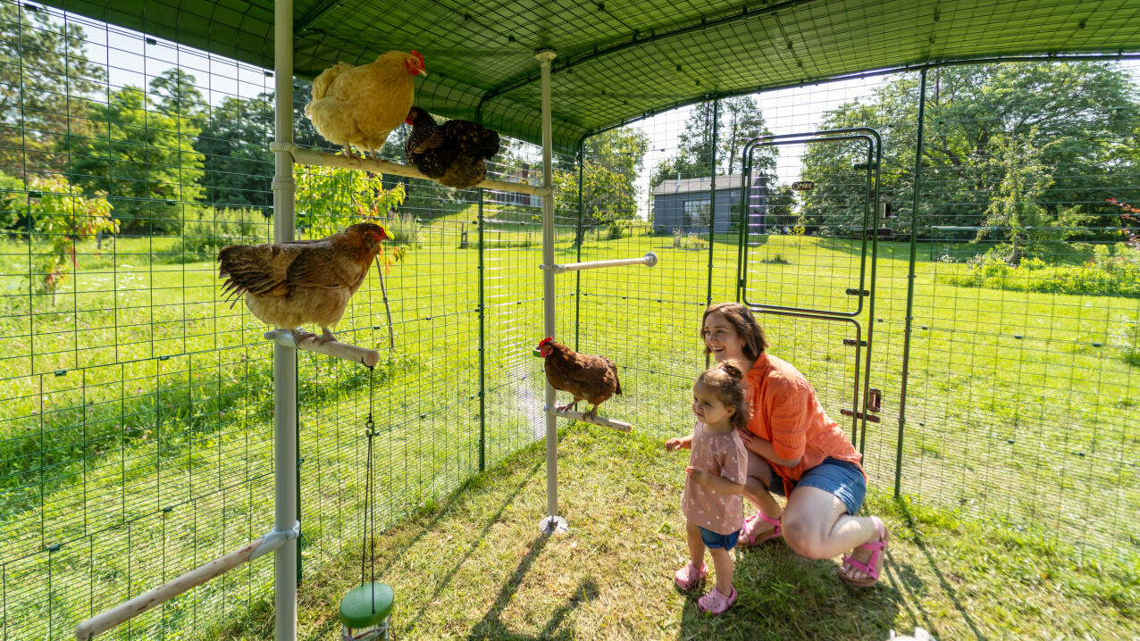 The Hen Pen Modular Chicken Run w/ Cover, 8' x 4', Rat-Proof - My