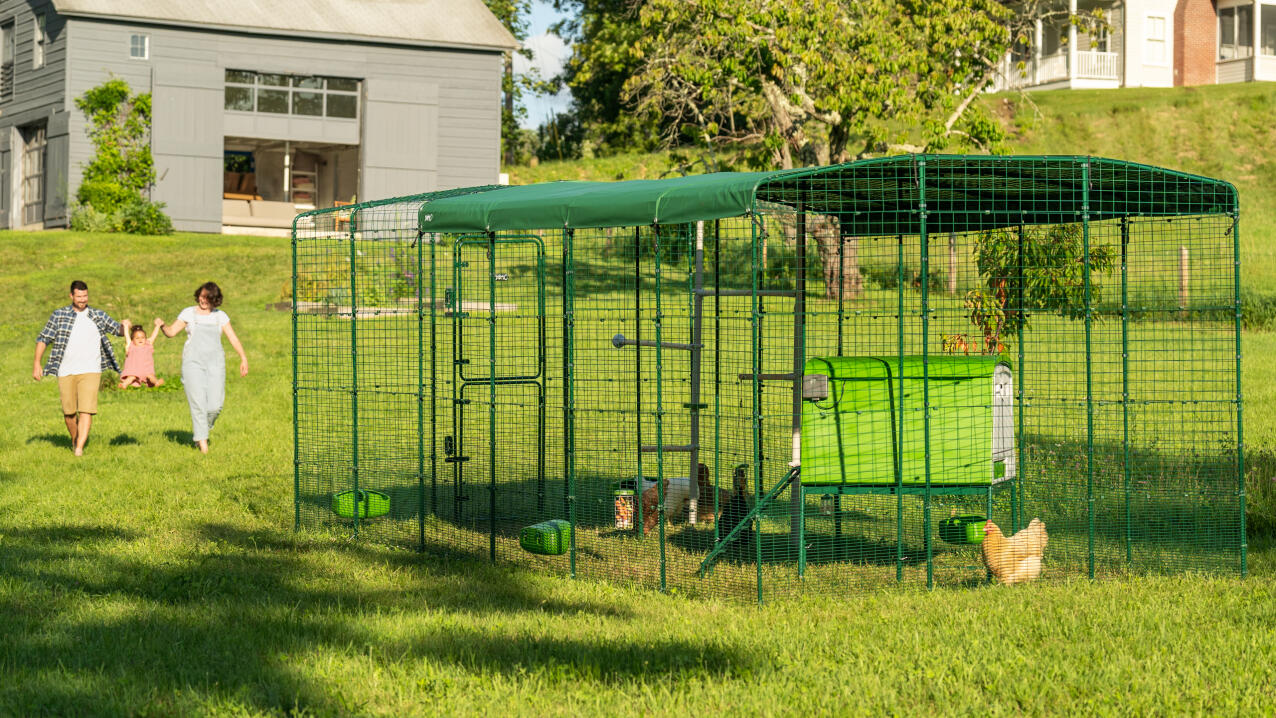 The Hen Pen Modular Chicken Run w/ Cover, 8' x 4', Rat-Proof - My