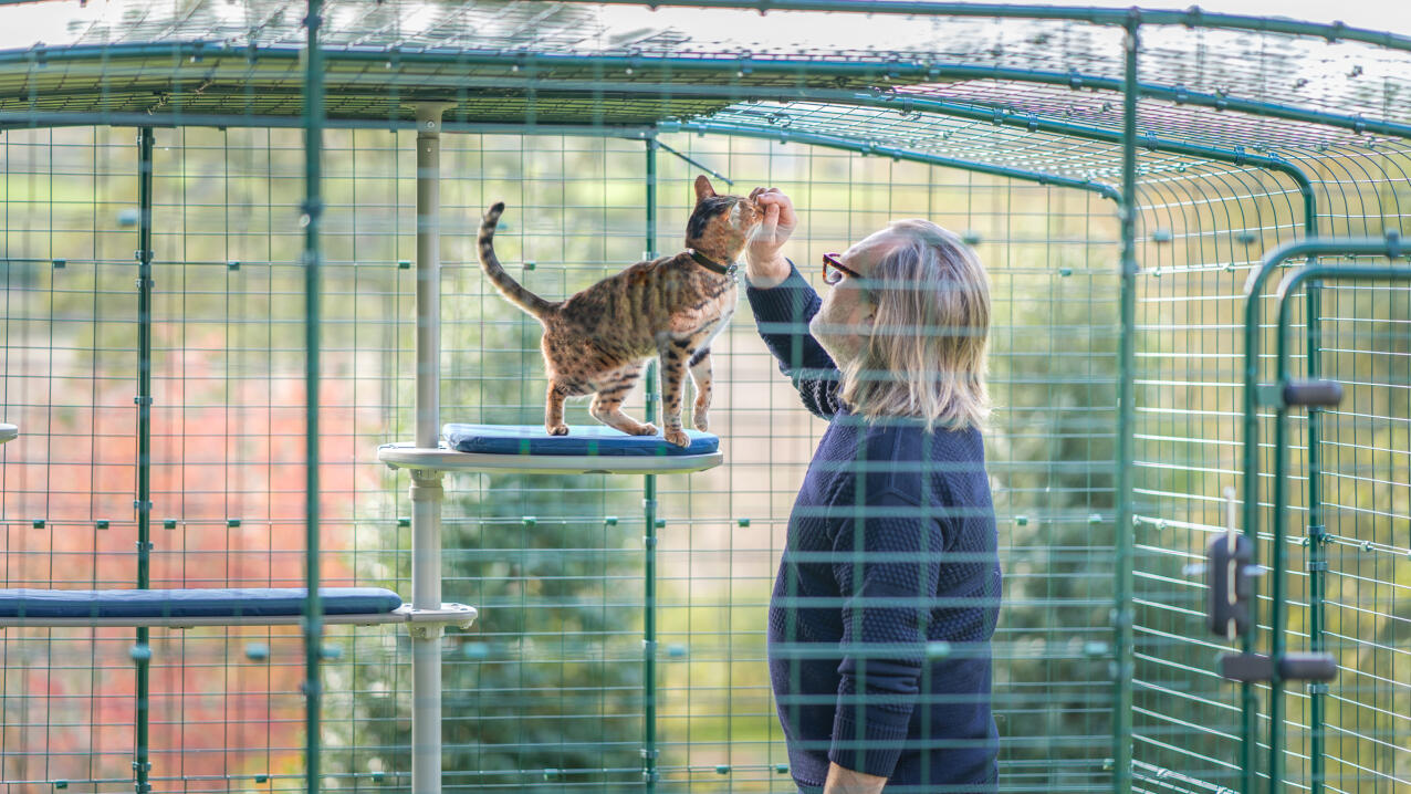 A man spending time with his cat on the outdoor freestyle cat tree