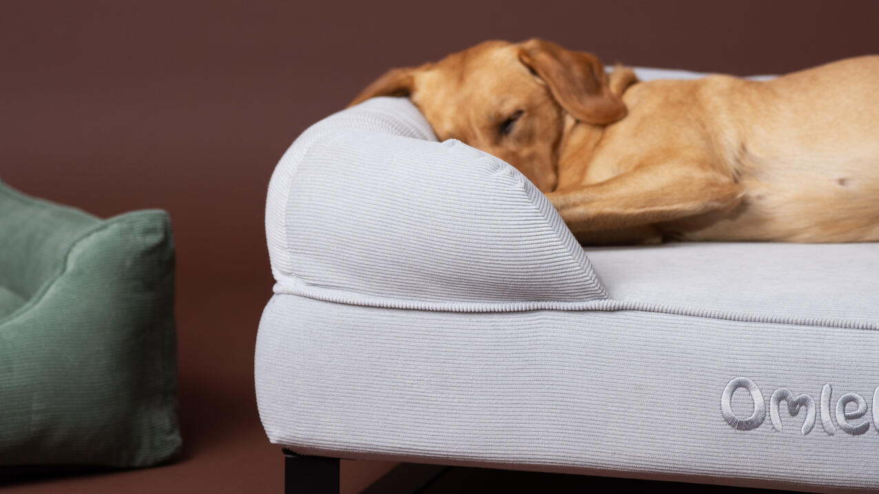 Orthopedic dog sales mattress