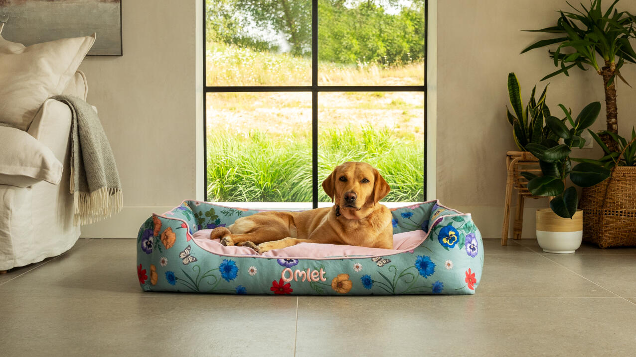 retriever lying in a floral nest bed in an airy modern living space