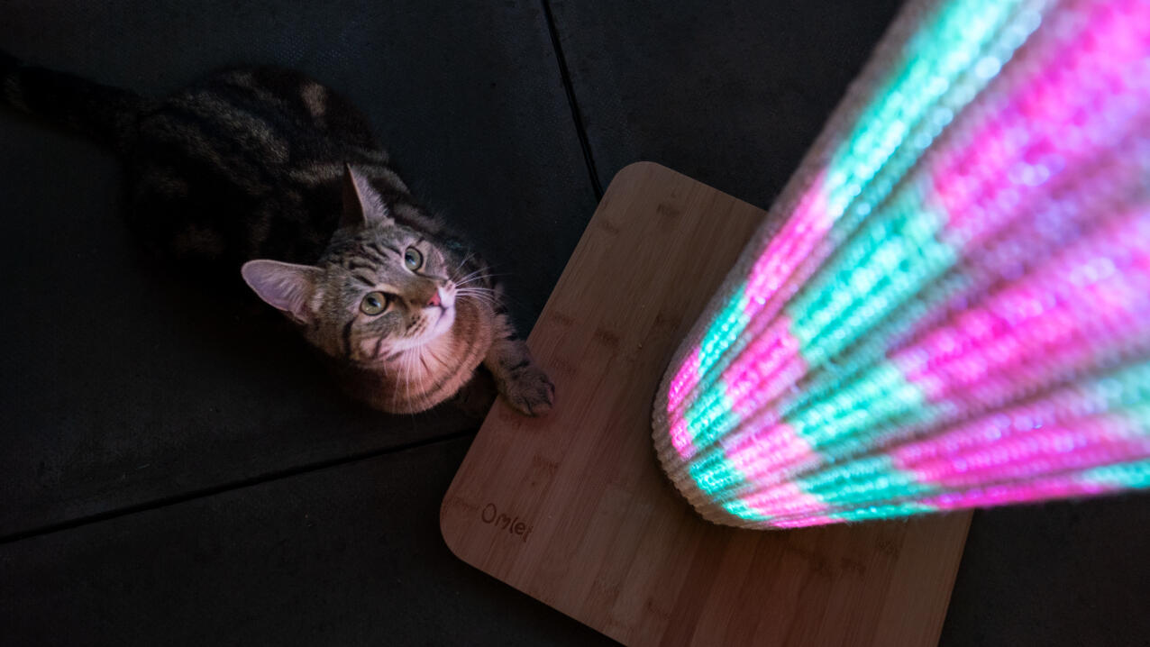 cat looking up at a lit up Switch cat scratcher with pink and blue light mode